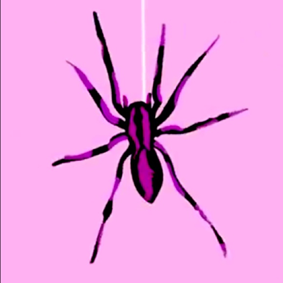 Meet your Posher, Holly - Picture 1 of 2